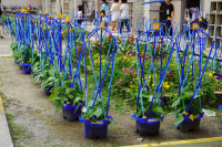 DSC03247