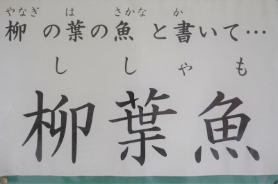 DSC03463