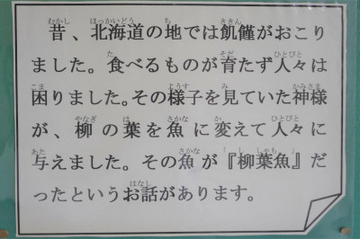 DSC03464